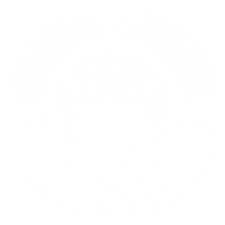 Canvas Logo